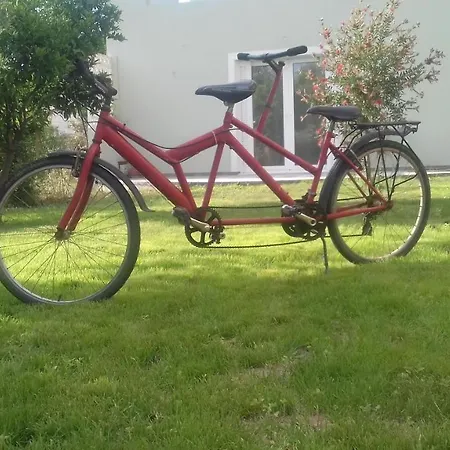 Daire Christinas Garden Patras