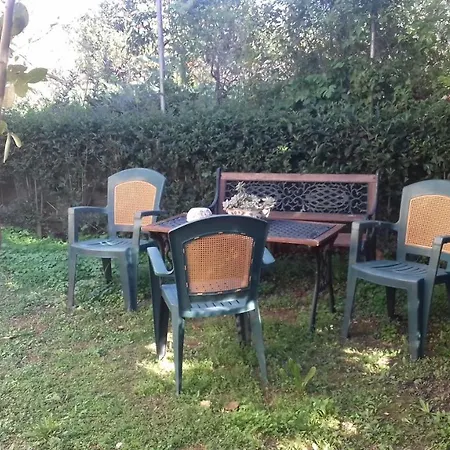 Christinas Garden *