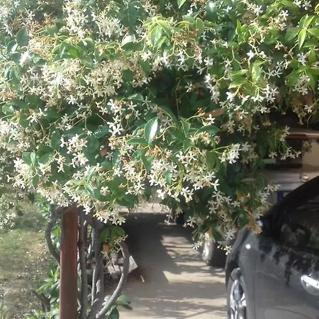 Christinas Garden Apartment