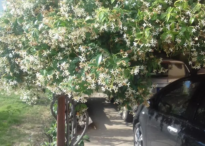 Christinas Garden Апартаменты